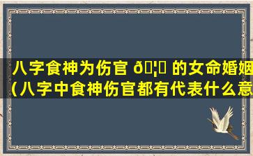 八字食神为伤官 🦁 的女命婚姻（八字中食神伤官都有代表什么意思）